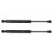 Trunk Lid Lift Support Set