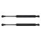 Trunk Lid Lift Support Set