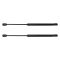 Trunk Lid Lift Support Set