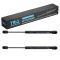 Trunk Lid Lift Support Set
