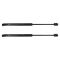 Trunk Lid Lift Support Set