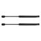 Trunk Lid Lift Support Set