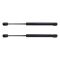 Trunk Lid Lift Support Set