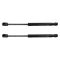 Trunk Lid Lift Support Set