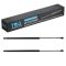 Liftgate Lift Support Set