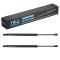 Liftgate Lift Support Set