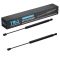 Liftgate Lift Support Set