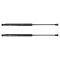 Liftgate Lift Support Set