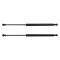 Liftgate Lift Support Set