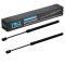 Liftgate Lift Support Set
