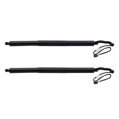 Liftgate Lift Support Set