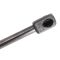 Liftgate Lift Support Set