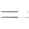 Liftgate Lift Support Set