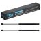 Liftgate Lift Support Set