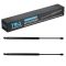 Liftgate Lift Support Set