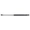 Liftgate Lift Support Set