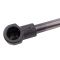 Liftgate Lift Support Set
