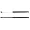 Liftgate Lift Support Set