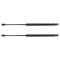 Liftgate Lift Support Set