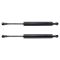 Liftgate Lift Support Set