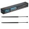Liftgate Lift Support Set
