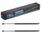 Liftgate Lift Support Set
