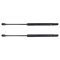 Liftgate Lift Support Set