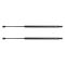 Liftgate Lift Support Set