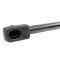 Liftgate Lift Support Set