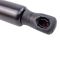Liftgate Lift Support Set