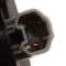 Tail Light Set