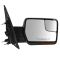 Mirror Pair