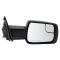 Mirror Pair