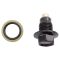 Engine Oil Drain Plug