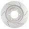 Performance Brake Rotor Pair