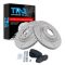 Brake Pad & Rotor Kit