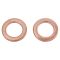 Performance Brake Kit with Calipers and Hoses