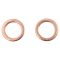 Front Performance Rotor, Pad, Caliper & Hose Kit