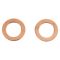 Front Performance Rotor, Pad, Caliper & Hose Kit