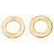Front Performance Rotor, Pad, Caliper & Hose Kit