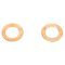 Front Performance Rotor, Pad, Caliper & Hose Kit
