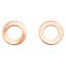 Front Performance Rotor, Pad, Caliper & Hose Kit