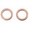 Front Performance Rotor, Pad, Caliper & Hose Kit