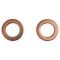 Front Performance Rotor, Pad, Caliper & Hose Kit