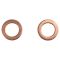 Front Performance Rotor, Pad, Caliper & Hose Kit
