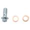 Rear Performance Rotor, Pad, Caliper & Hose Kit