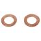 Rear Performance Rotor, Pad, Caliper & Hose Kit