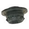 08-13 Altima Cpe; 07-12 Altima Sdn; 09-14 Maxima Lwr Radiator Rubber Mounting Bushing LH = RH (Nis)