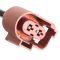 Engine Cooling Fan Assembly