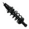 02-06 Honda CR-V Reat Strut & Spring Assembly w/ Rear Sway Bar End Link Kit (Set of 4)